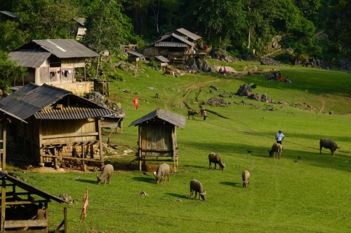 Hanoi – Moc Chau – Ninh Binh – Ha Long 6 days 5 nights