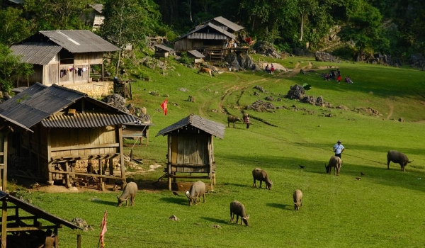 Hanoi – Moc Chau – Ninh Binh – Ha Long 6 days 5 nights