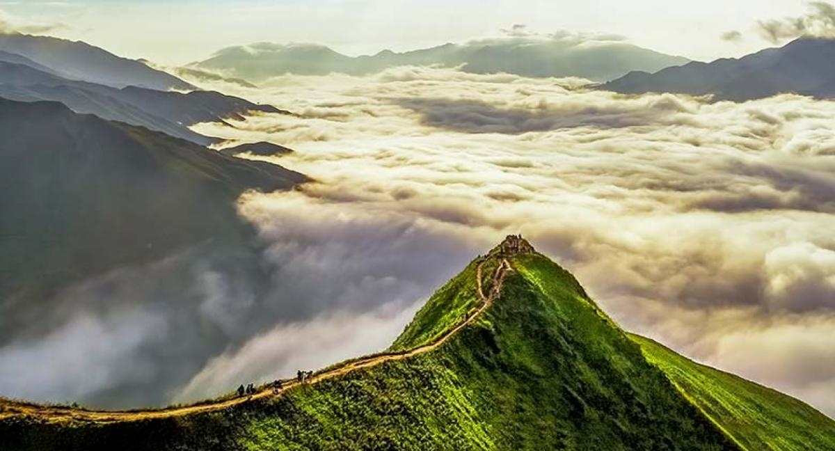 Hanoi – Moc Chau – Ta Xua – Ninh Binh – Ha Long 6 days 5 nights