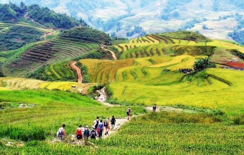 Tour program Hanoi – Ninh Binh – Ha Long – Sapa 5 days 4 nights