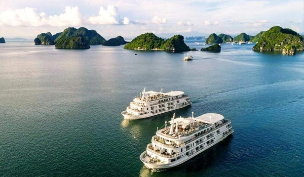 Hanoi – Moc Chau – Ta Xua – Ninh Binh – Ha Long 6 days 5 nights