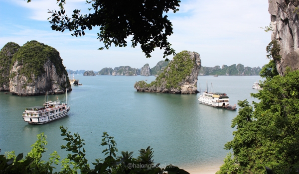 Hanoi – Ha Long – Sapa 4 days 3 nights