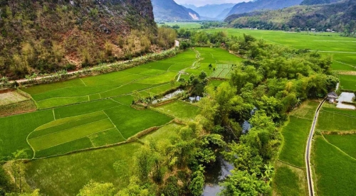 Highlights of the Mai Chau – Moc Chau 3 days 2 nights tour