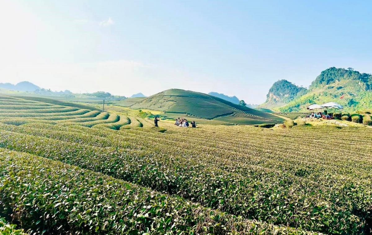 Highlights of the Mai Chau – Moc Chau 3 days 2 nights tour