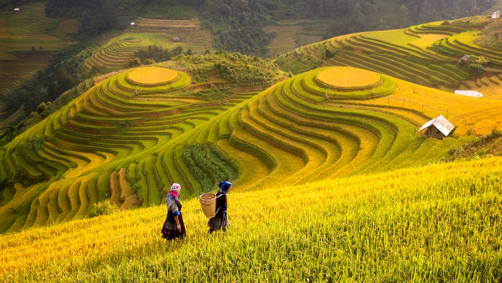 Highlights of Imazing Travel's 4-day, 3-night Ha Long - Sapa tour