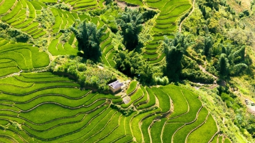 Tour Schedule Sapa – Y Ty – Lung Po 4 days 3 nights