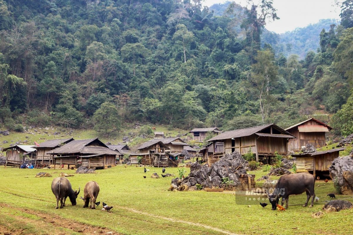 Moc Chau – Son La – Dien Bien 3N2D from Hanoi