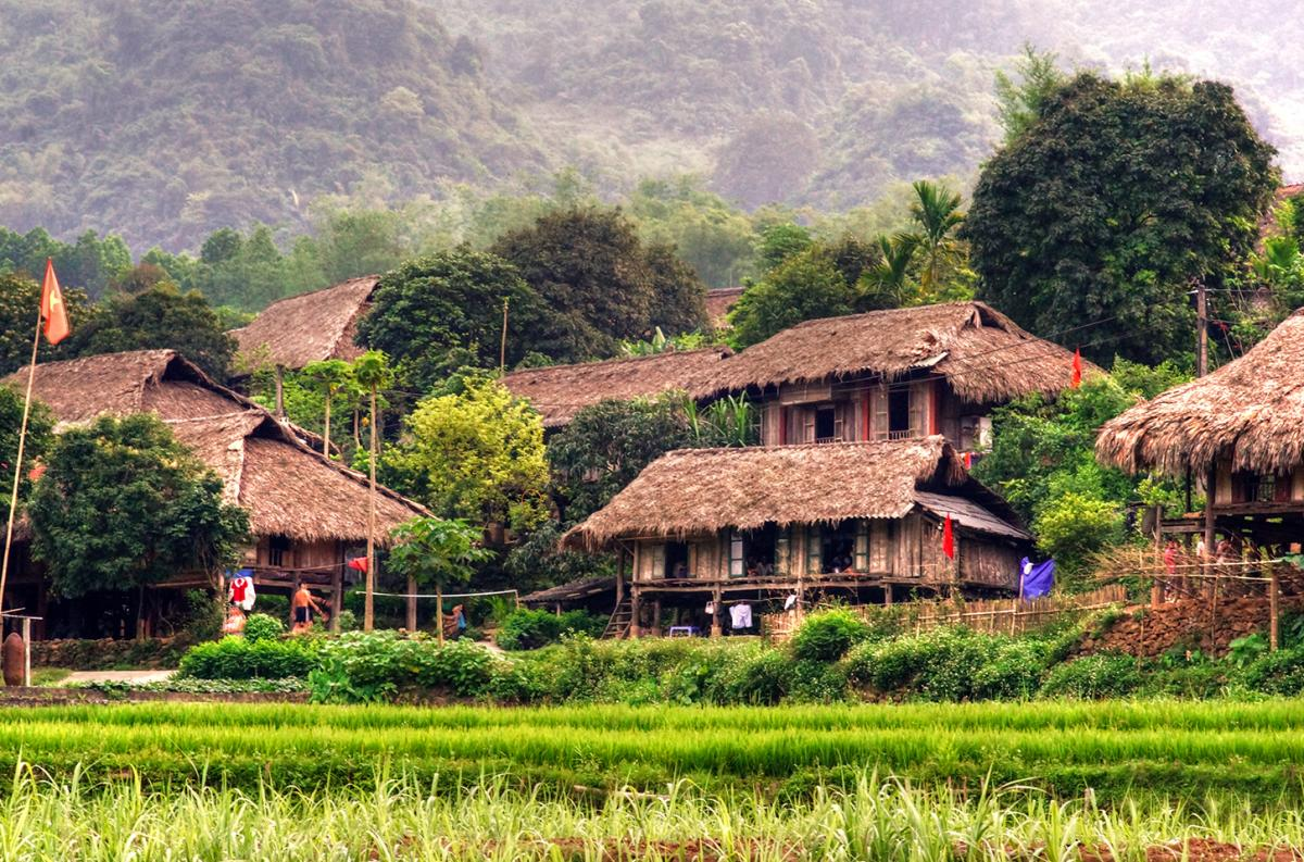 Highlights of the Mai Chau – Moc Chau 3 days 2 nights tour
